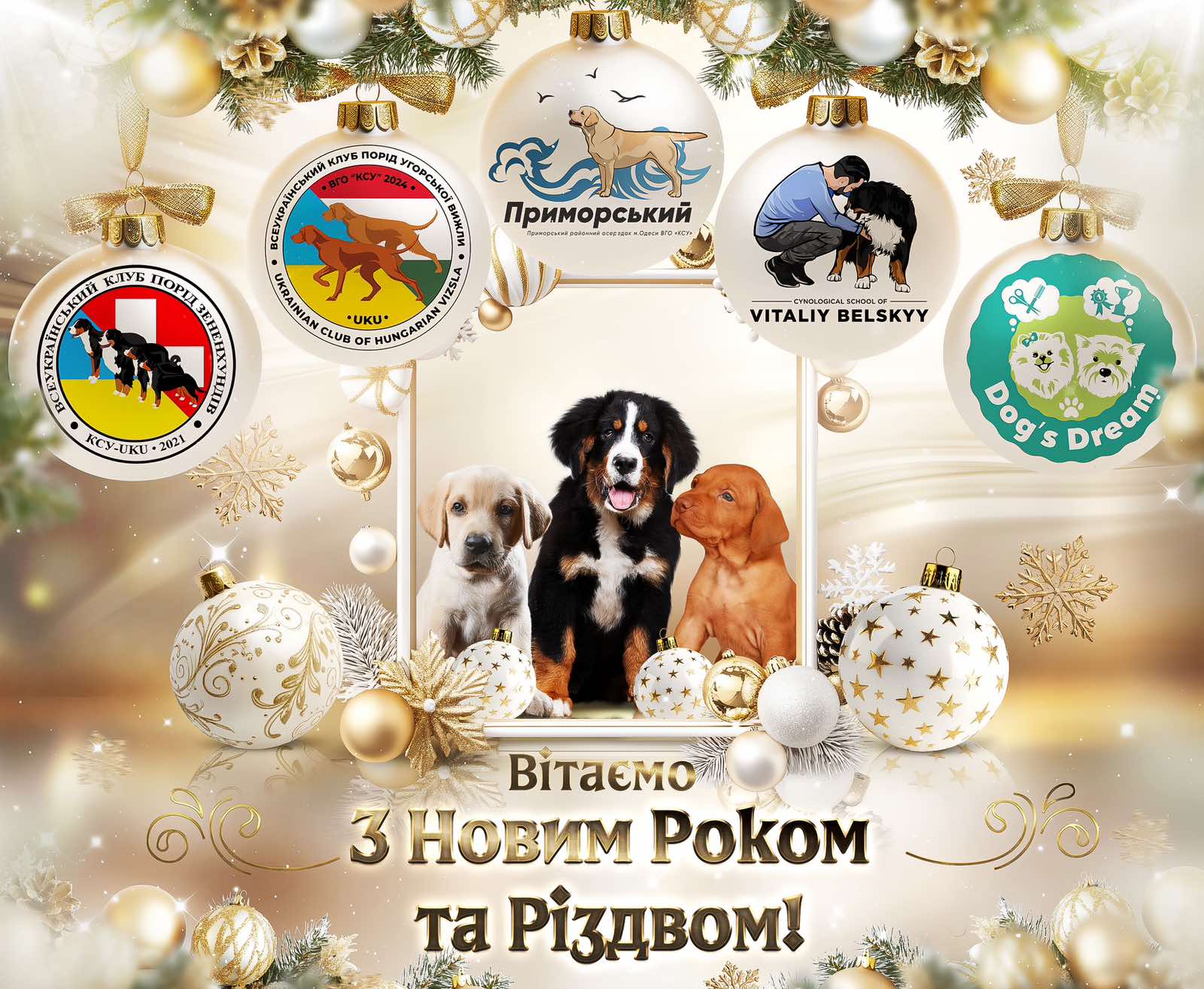 З Новим роком та Різдвом!